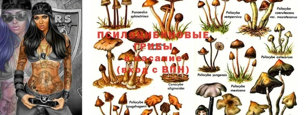a pvp Наволоки