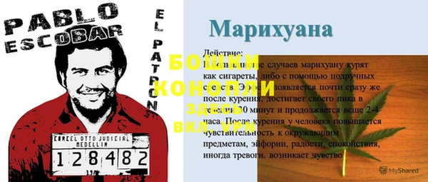 гашик Нефтекумск