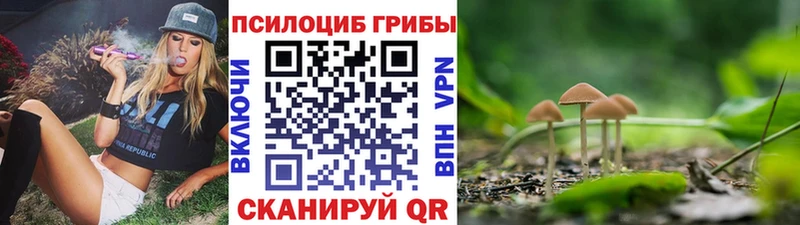 Галлюциногенные грибы GOLDEN TEACHER  hydra ТОР  Мосальск 